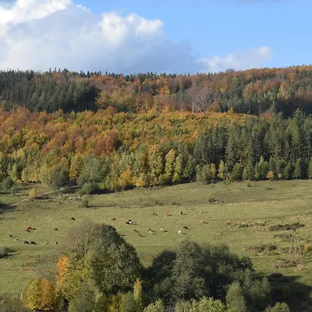 Dom wakacyjny Chmielnik