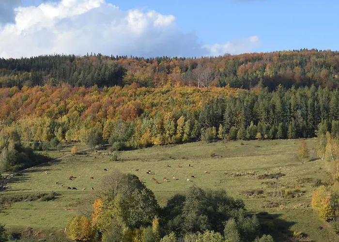 Casa vacanze Chmielnik
